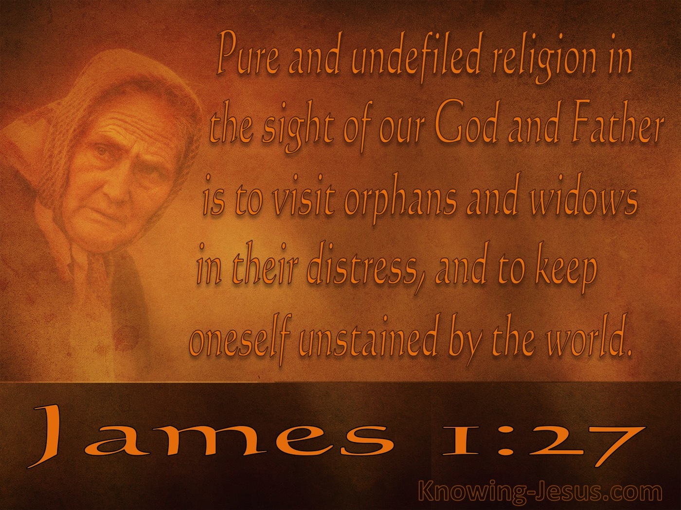 James 1:27 Pure And Undefiled Religion (brown)